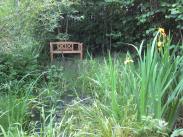 bench-by-pond